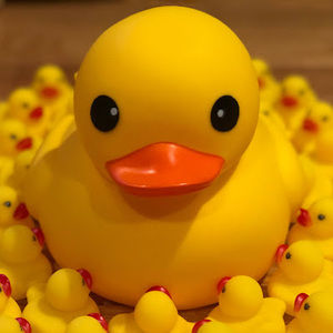 Meet your Posher, Jayoung